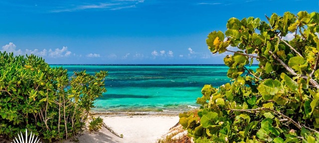 TC Villas -Sandpiper -Snorkel & Pool Townhouse Retreat