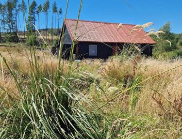 The Bothy In The Park