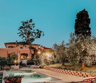 The Olive Grove in Tuscany