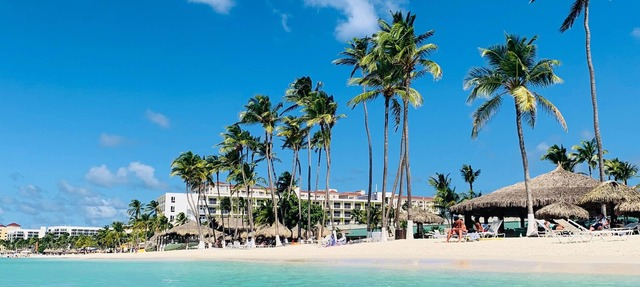 The Palm Leaf Apartments