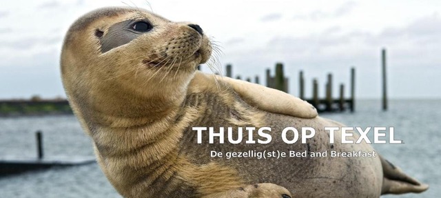 Thuis op Texel