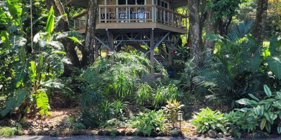 Treehouse La Hierba, Pavones