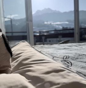 View Luzern-Pilatus-hiking-Lake Lucerne -View-cozy-Hund