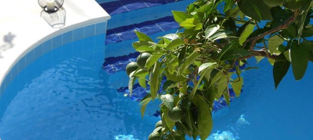 Villa Rose