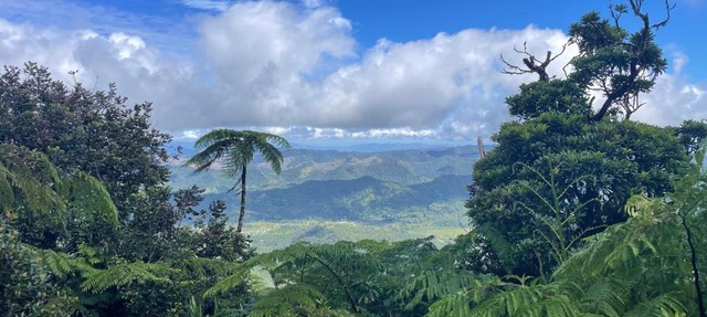 Village Stay Fiji at Navai Village Fiji