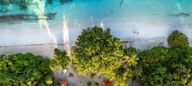 Whaleshark Beach