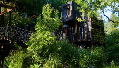 Zero Zero Treehouse